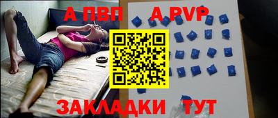 стаф Кандалакша